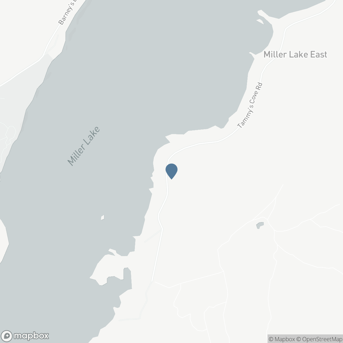 295 TAMMYS COVE ROAD, Lion's Head, Ontario N0H 1W0